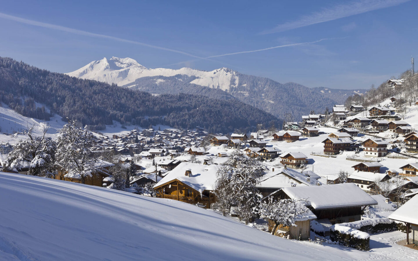 Luxury Ski Chalets in St Moritz, Switzerland - Firefly Collection
