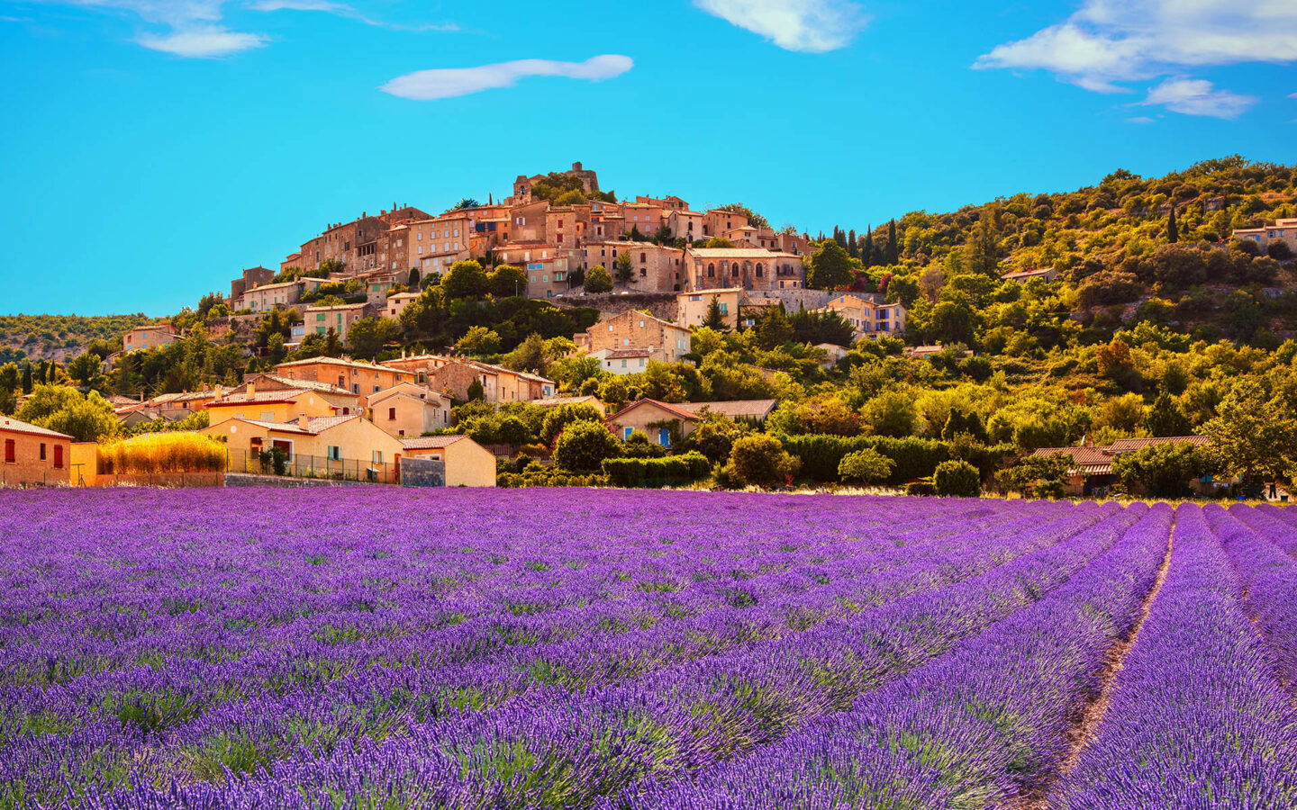 Provence Holiday Guide