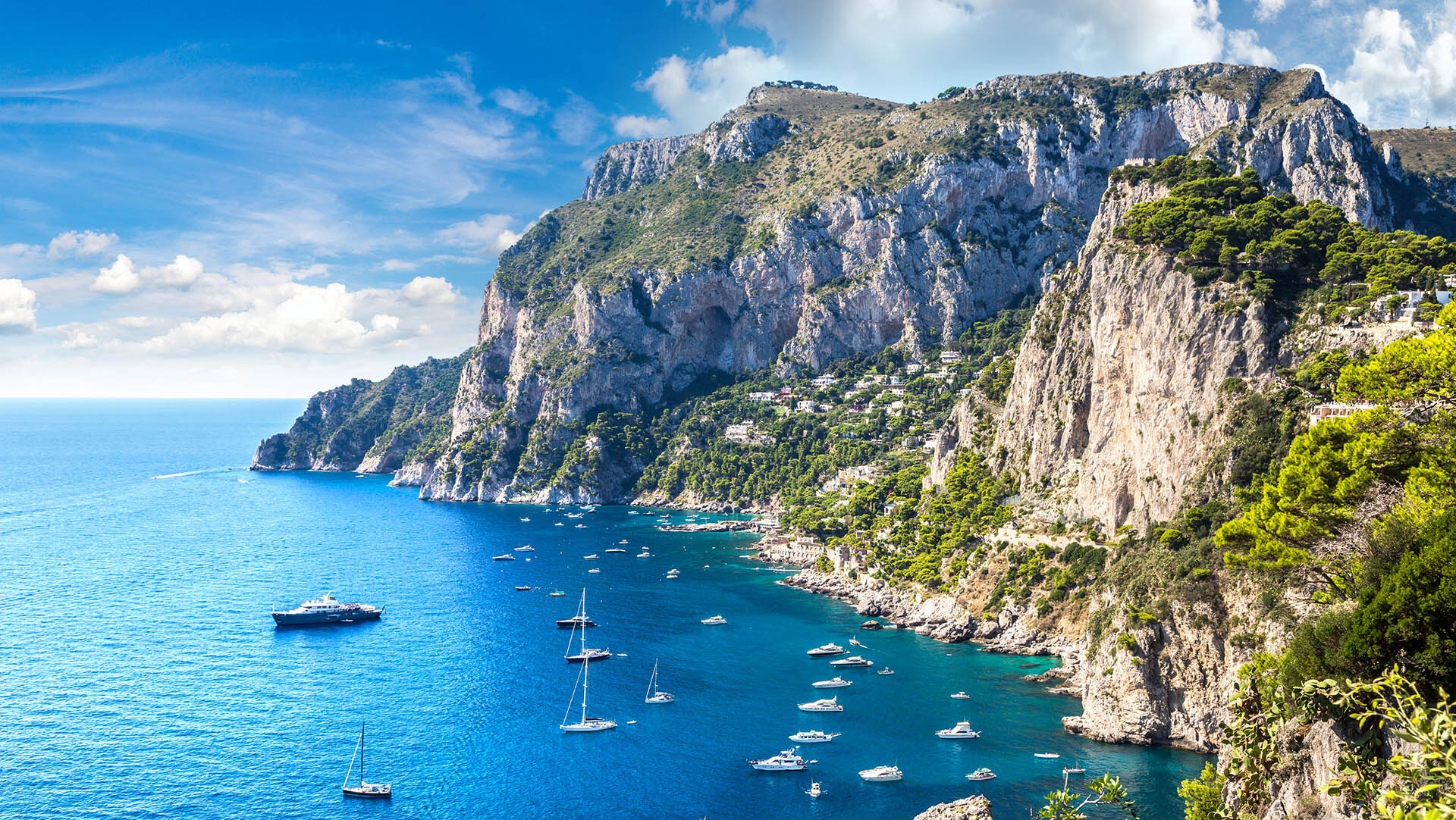 shutterstock 759056281 Capri