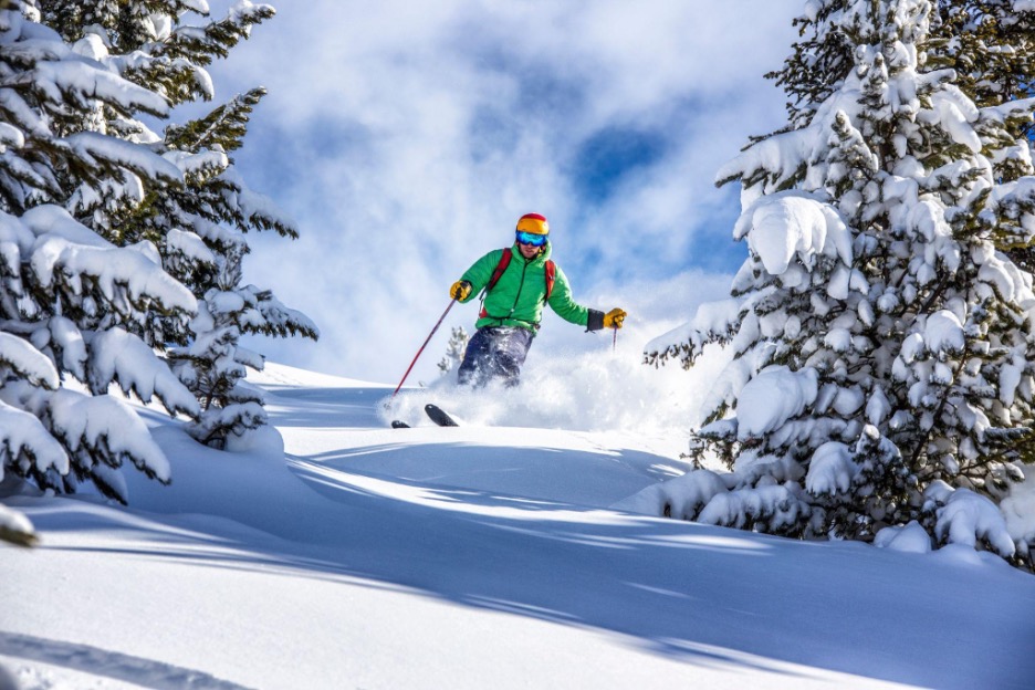 Skier in powder snow