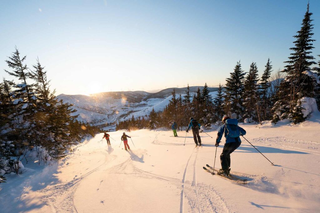 AdobeStock 407017180 Skiing through the trees