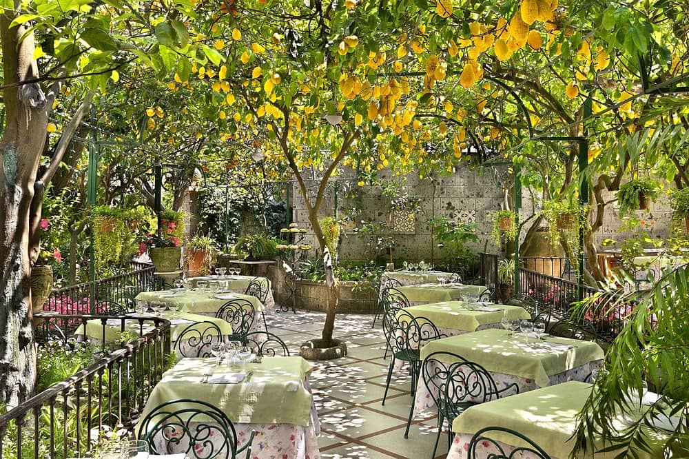 Capri Citrus Trees