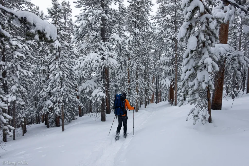 Cross country skiing